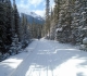 Goat Creek