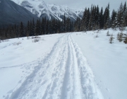Goat creek