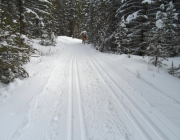 Goat creek