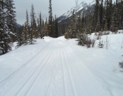 Goat creek
