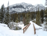 Goat creek meets the Spray river