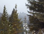 Banff Springs Hotel