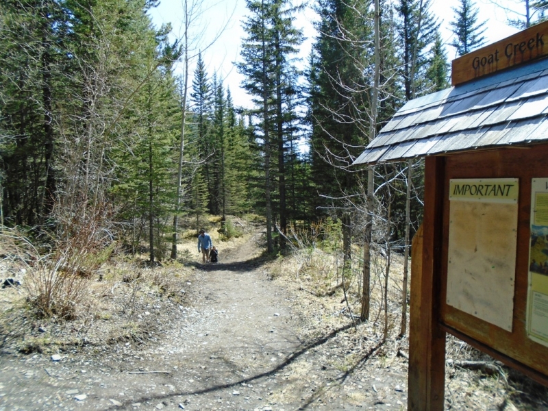 Goat Creek
