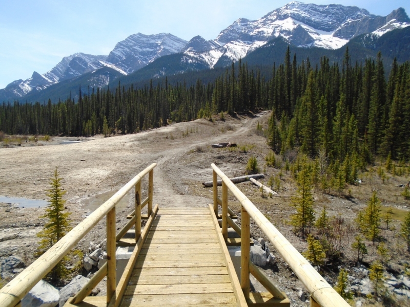 High Rockies trail
