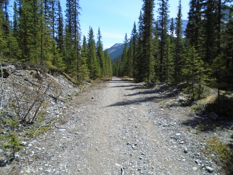 Goat Creek