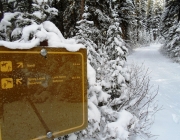 This is one trail marker with the correct distance. 9.9k to Banff at the start of the Spray river west trail