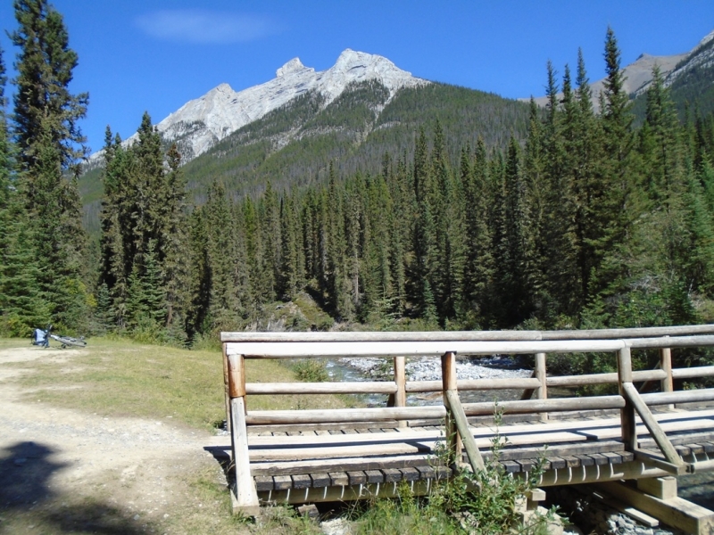 Goat creek bridge