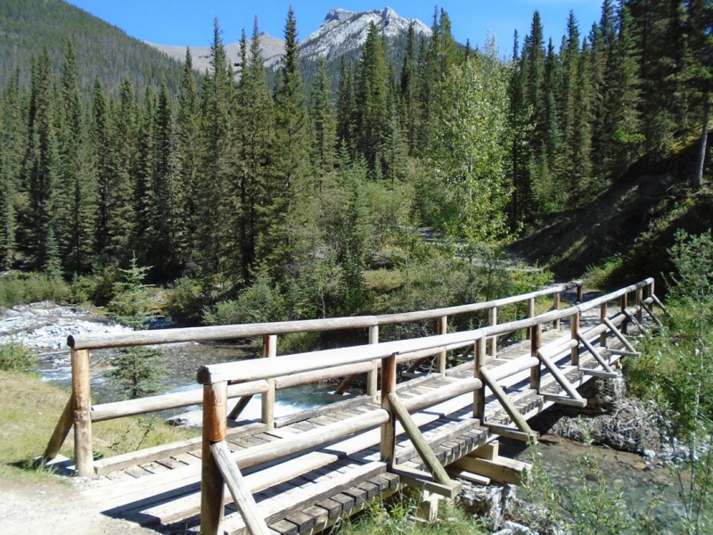 Goat creek bridge