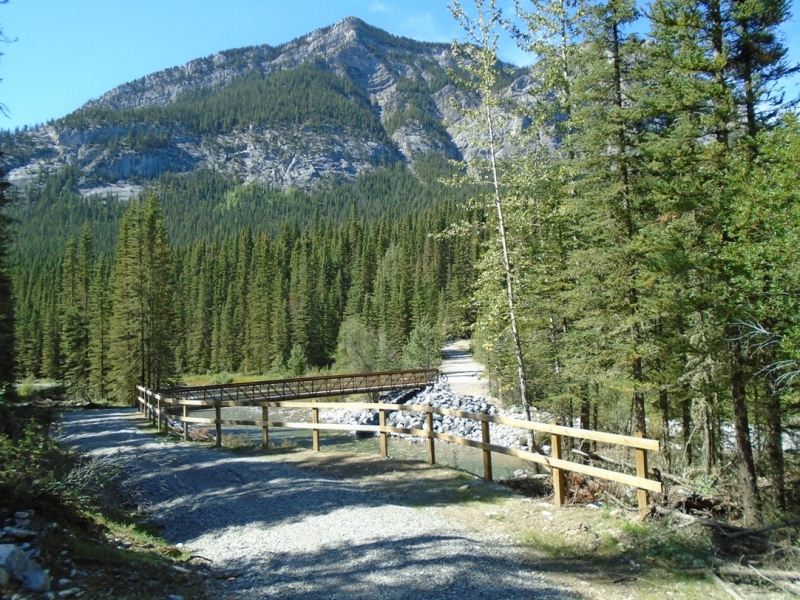 Spray river bridge