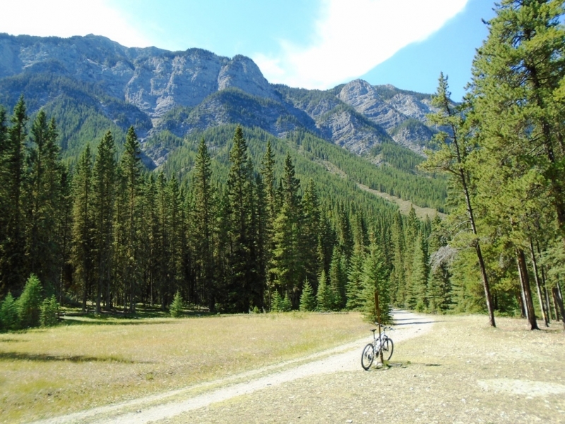 Spray river west trail