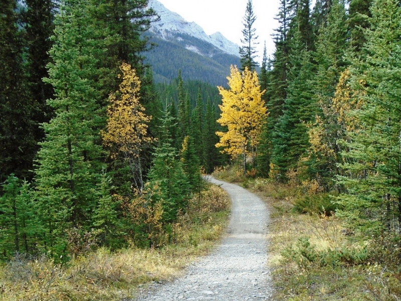 Goat creek