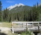 Goat creek bridge