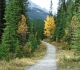 Goat creek