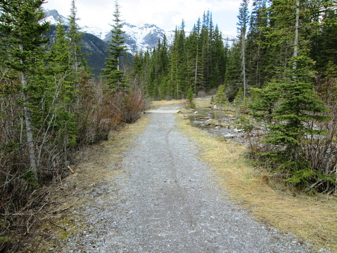 Goat creek