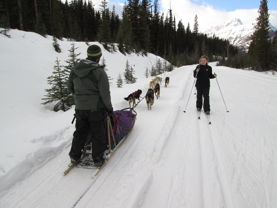 Dogsled on the Great Divide