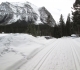 Peyto trailhead