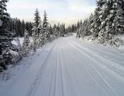 When I started skiing on the Great Divide, only one side of the trail had been groomed and trackset