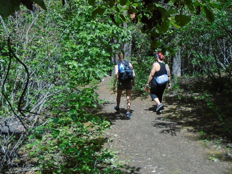 Centennial Ridge trail
