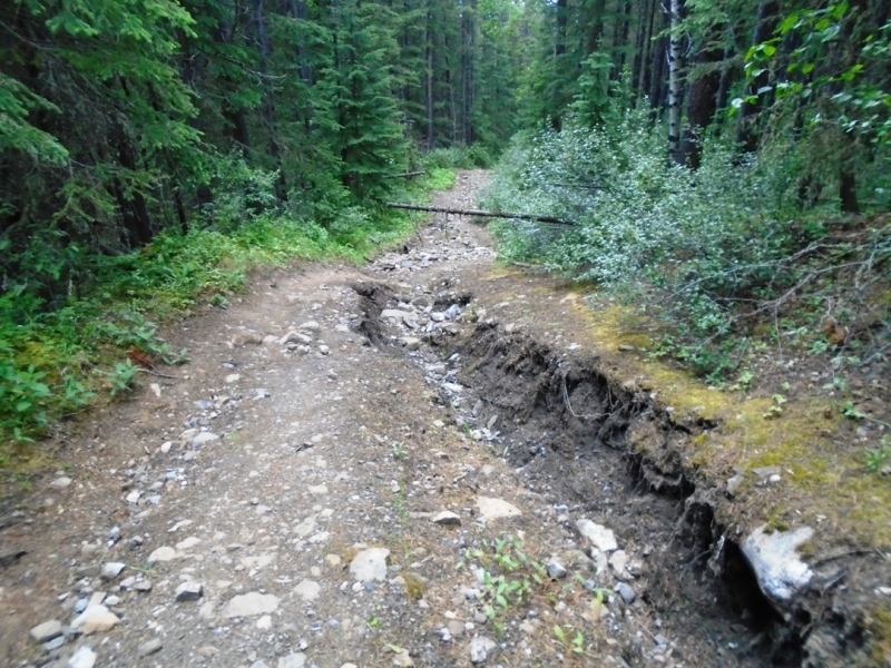 Centennial Ridge trail