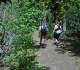 Centennial Ridge trail