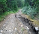 Centennial Ridge trail