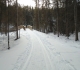 Healy creek