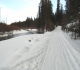 Healy creek