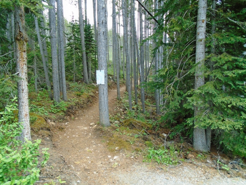 High Rockies trail