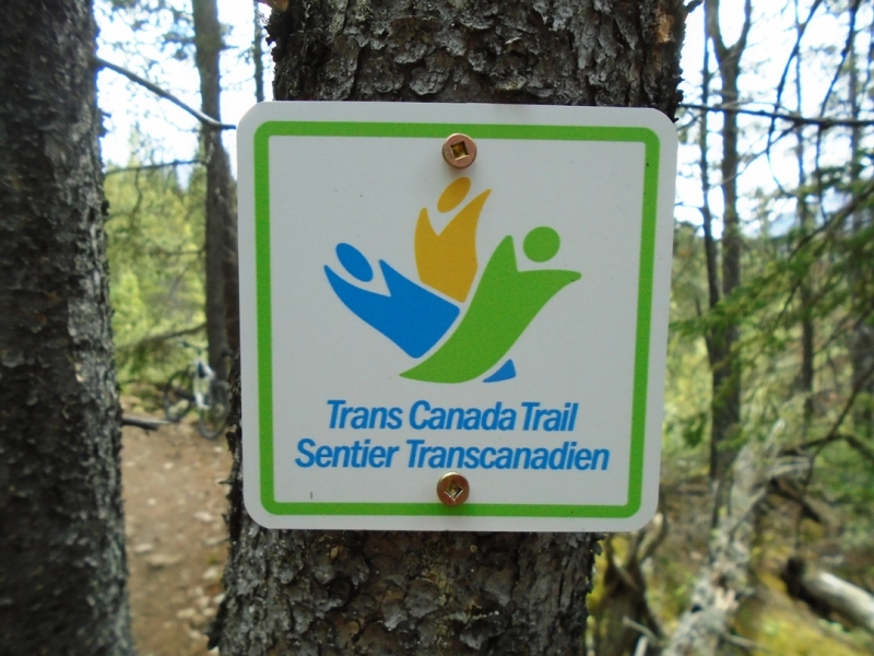 High Rockies trail