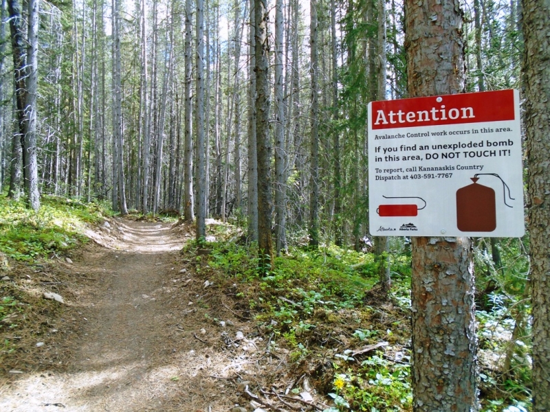 High Rockies trail