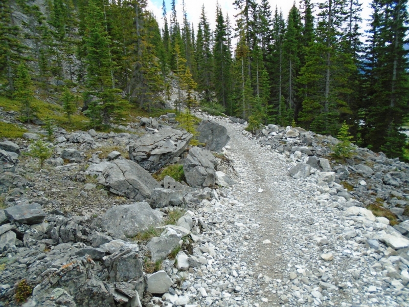 High Rockies trail