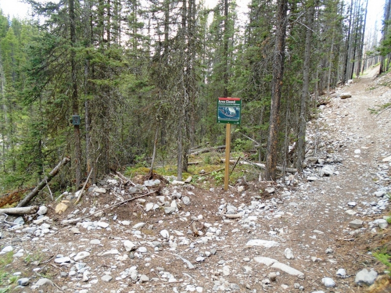 High Rockies trail