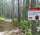 High Rockies trail