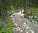 High Rockies trail