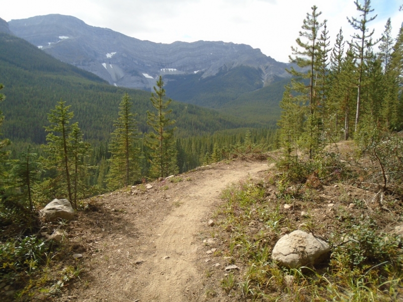 High Rockies trail