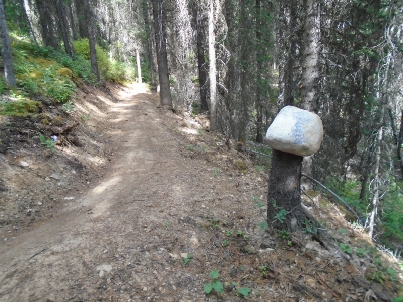 High Rockies trail