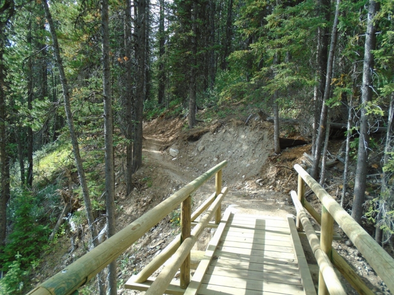 High Rockies trail