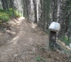 High Rockies trail