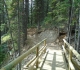 High Rockies trail