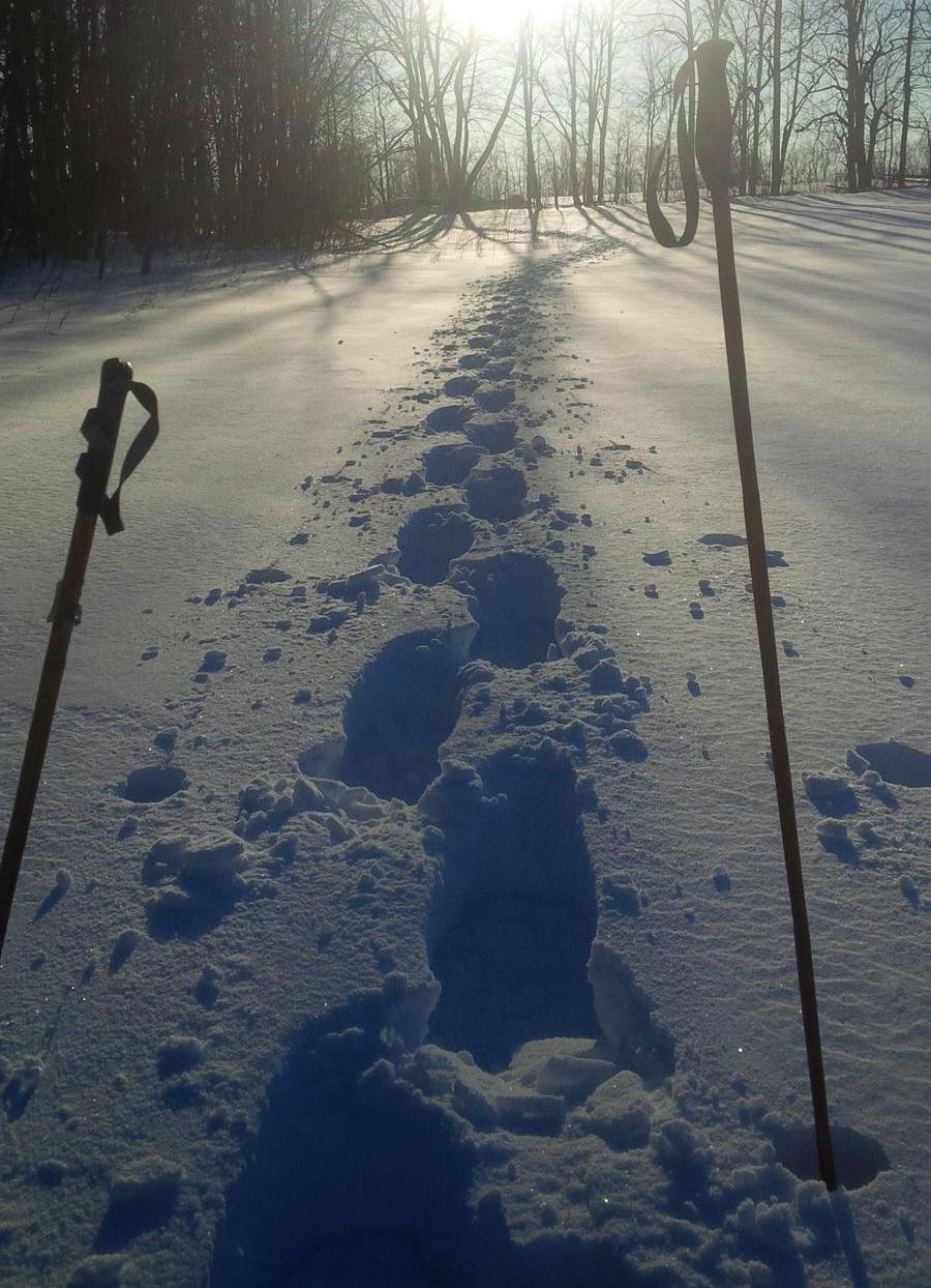 Deep snow packed with snowshoes