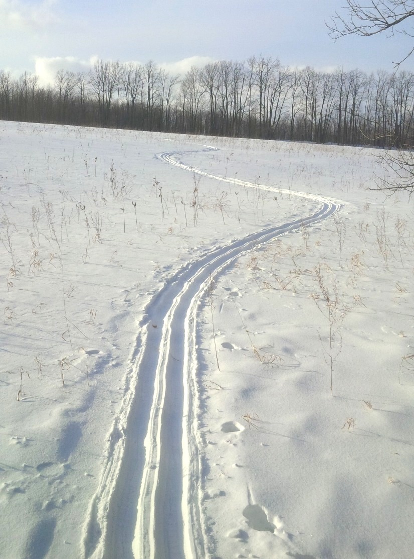 Eric's trail, trackset and ready for skiers