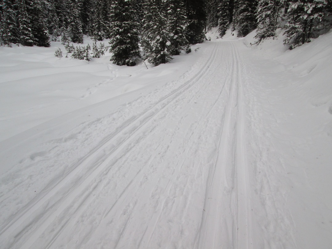 Elk pass