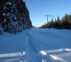 Snowshoe trail