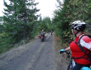 Motorized vehicles, including motorcycles, quads, and cars are allowed on many sections