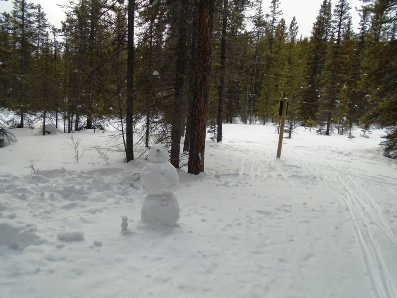 Pipestone - Merlin snowman