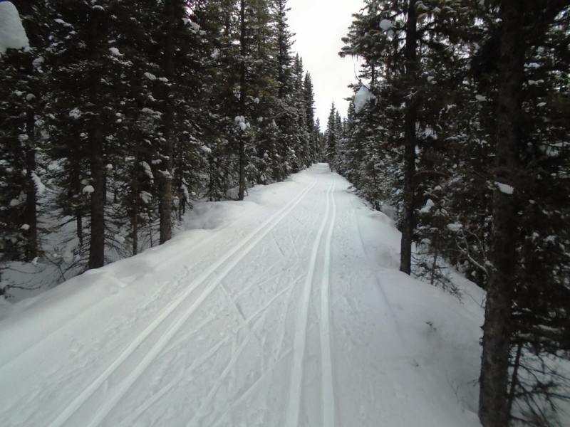Tramline