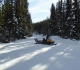 Moraine Lake road