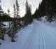 Bow River loop