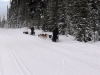 Dogsleds on the Great Divide