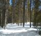 Pipestone